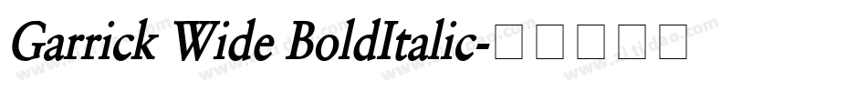 Garrick Wide BoldItalic字体转换